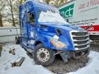 2019 FREIGHTLINER CASCADIA 126