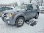 2008 FORD ESCAPE