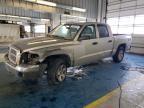 2005 DODGE DAKOTA