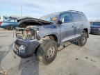 2019 TOYOTA LAND CRUISER
