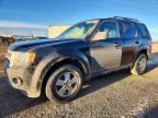 2011 FORD ESCAPE