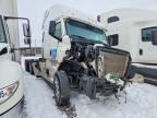 2023 FREIGHTLINER CASCADIA 126