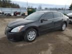 2011 NISSAN ALTIMA