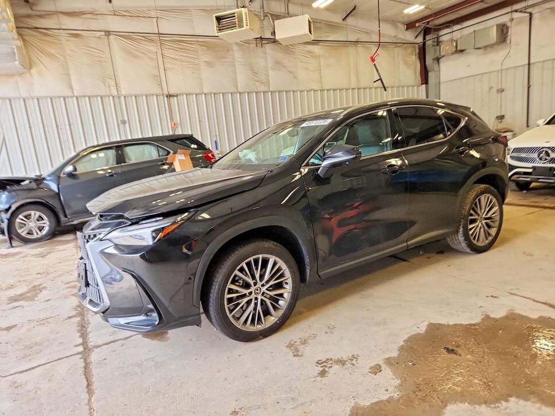 2024 LEXUS NX 350H