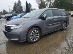 2023 HONDA ODYSSEY