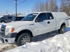2013 FORD F150