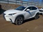 2019 LEXUS NX 300