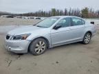 2009 HONDA ACCORD