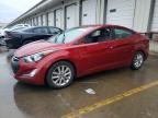 2014 HYUNDAI ELANTRA
