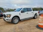 2023 FORD F150