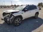 2021 TOYOTA RAV4 PRIME