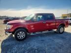 2013 FORD F150