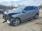 2013 MERCEDES-BENZ ML
