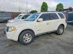 2010 FORD ESCAPE