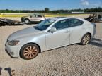 2008 LEXUS IS