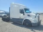 2019 PETERBILT 579