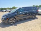 2023 HONDA ODYSSEY