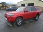 2023 TOYOTA 4RUNNER