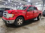 2013 FORD F150