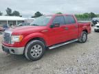 2011 FORD F150