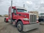 2019 PETERBILT 567