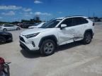 2024 TOYOTA RAV4 HYBRID
