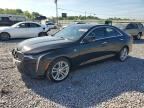 2024 CADILLAC CT4
