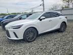 2024 LEXUS RX 350