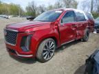 2025 CADILLAC ESCALADE