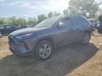 2025 TOYOTA RAV4 HYBRID
