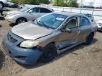 2009 TOYOTA COROLLA