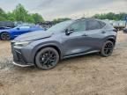 2024 LEXUS NX 350
