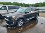 2021 KIA TELLURIDE