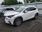 2019 LEXUS NX