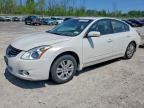 2010 NISSAN ALTIMA