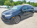 2023 HONDA ODYSSEY