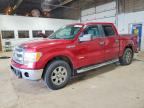 2013 FORD F150