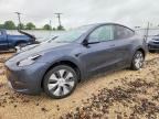 2023 TESLA Y