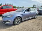 2011 KIA OPTIMA