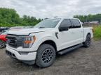 2023 FORD F150