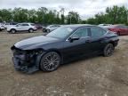 2023 LEXUS ES 350
