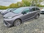 2023 TOYOTA SIENNA