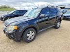 2010 FORD ESCAPE