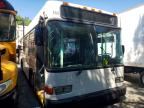 2010 GILLIG TRANSIT BUS