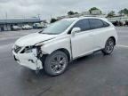 2013 LEXUS RX