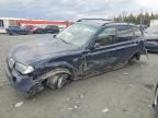 2009 BMW X3