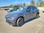 2024 ALFA ROMEO STELVIO