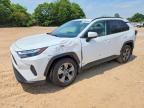 2024 TOYOTA RAV4 HYBRID