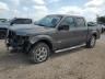 2013 FORD F150