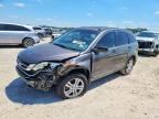 2010 HONDA CRV